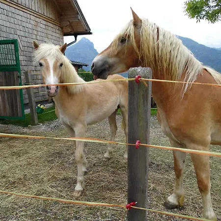 Farm stay Altroiterhof *