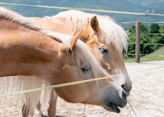 ファームステイ Altroiterhof