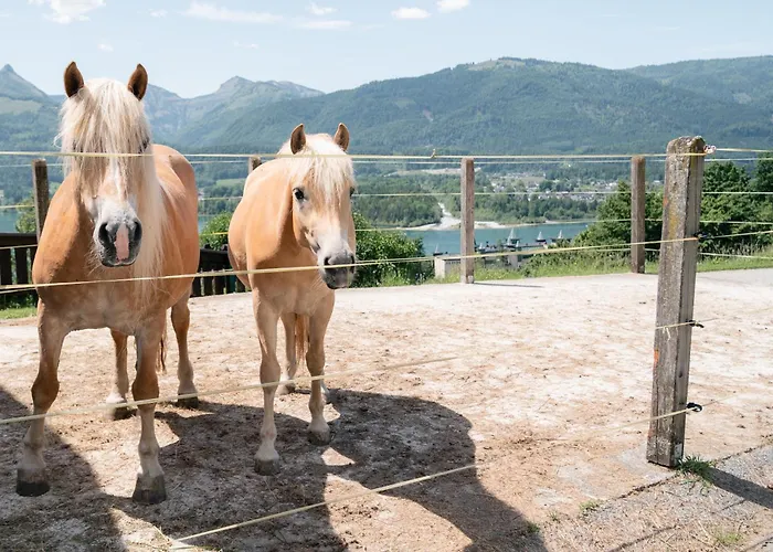 Farm stay Altroiterhof Sankt Wolfgang im Salzkammergut