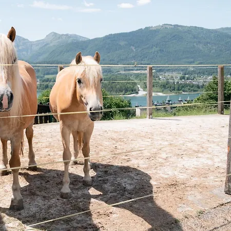 Bauernhof Altroiterhof Saint Wolfgang